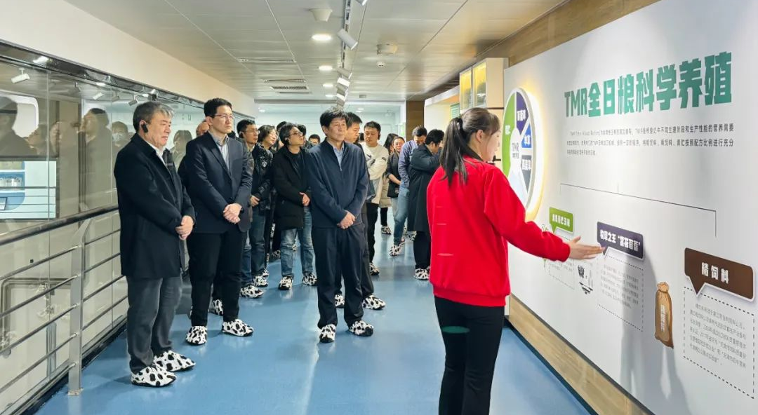 供稿：爱游戏在线官网有限公司